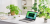 Jetzt verfügbar: Das Acer Aspire Vero mit Nachhaltigkeitsfokus