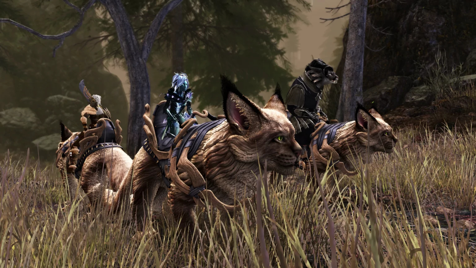 Guild Wars 2 Janthir Wilds angespielt Janthir Wilds Kriegsklaue