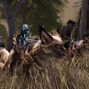 Guild Wars 2 Janthir Wilds angespielt Janthir Wilds Kriegsklaue