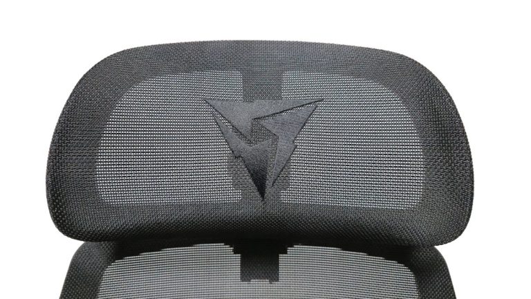 ThunderX3 FLEX Pro Ergonomic Office Chair im Test