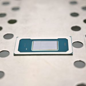 JC0_8705-Panther-scaled