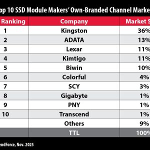 KingstonSSDMarketShareChart.081455