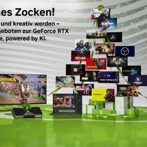 NVIDIA_Holiday Key Asset