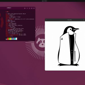 PS5 Linux